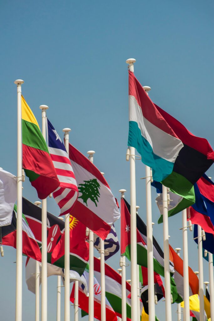 Flags and skyline images representing global examples of competition law enforcement.
